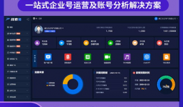 短视频多账号运营系统,高效内容分发与品牌影响力提升之道